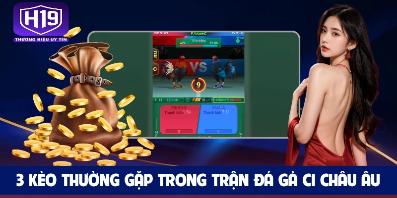 3 kèo thường gặp trong trận đá gà C1 châu Âu